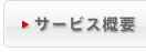 サービス概要